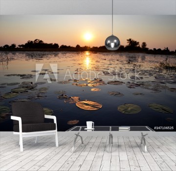 Picture of Okavango Delta